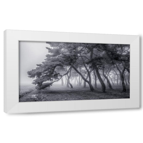 Always White Modern Wood Framed Art Print by Seo, Tiger