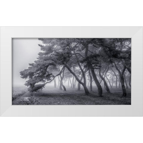 Always White Modern Wood Framed Art Print by Seo, Tiger