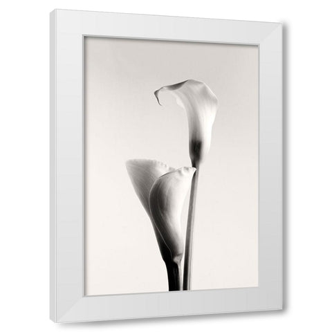 Calla White Modern Wood Framed Art Print by Hanchevici, Calin