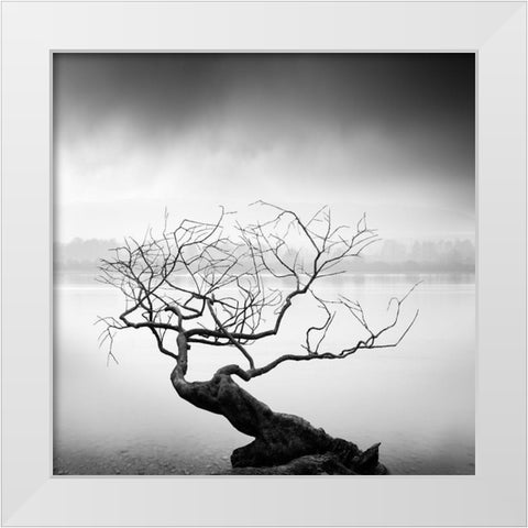 Root To Branches White Modern Wood Framed Art Print by Digalakis, George