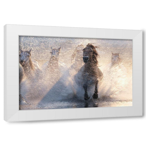Run White Modern Wood Framed Art Print by Z, Bingo