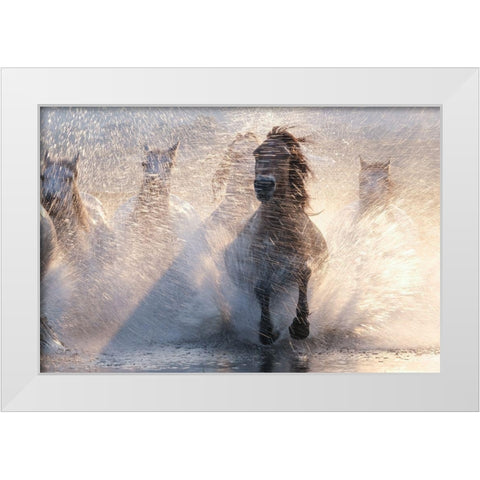 Run White Modern Wood Framed Art Print by Z, Bingo