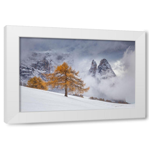 Between Seasons White Modern Wood Framed Art Print by Ioan Ovidiu, Lazar