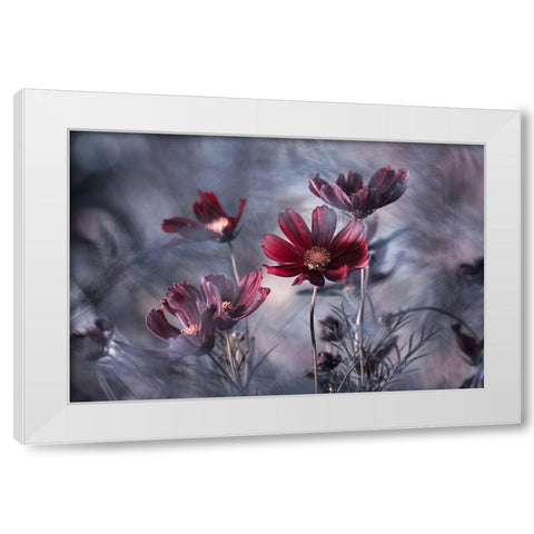 Cosmoslicious White Modern Wood Framed Art Print by Bravin, Fabien