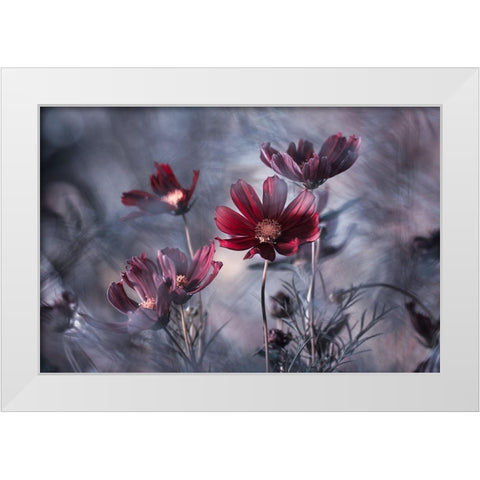 Cosmoslicious White Modern Wood Framed Art Print by Bravin, Fabien