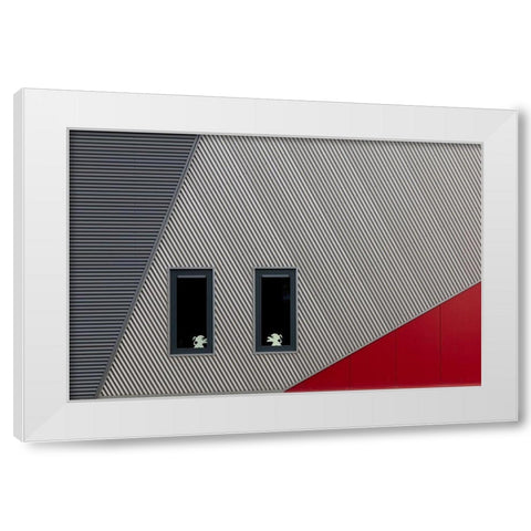 The White Lions White Modern Wood Framed Art Print by Luycx, Theo