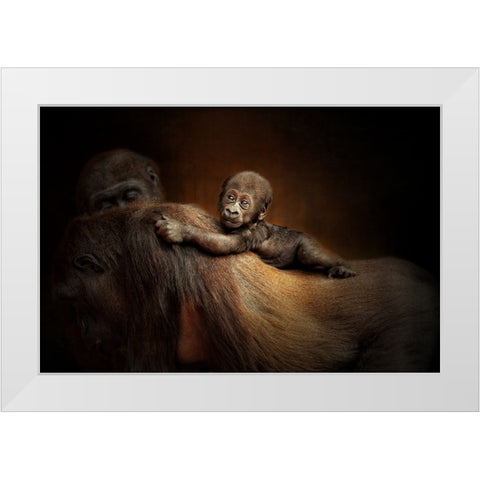 New Life White Modern Wood Framed Art Print by Wenner-Braun, Antje