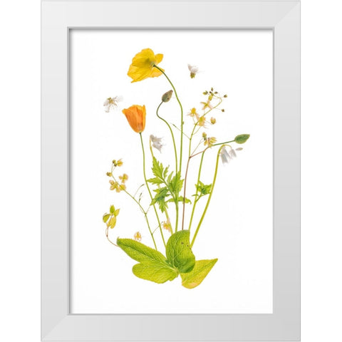 Fairy Garden White Modern Wood Framed Art Print by Williams, Sharon