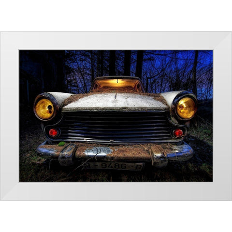 Morris White Modern Wood Framed Art Print by Novillo, Alfonso
