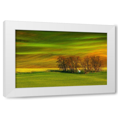 A Colorful Day White Modern Wood Framed Art Print by Cantemir, Mandru