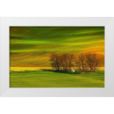 A Colorful Day White Modern Wood Framed Art Print by Cantemir, Mandru