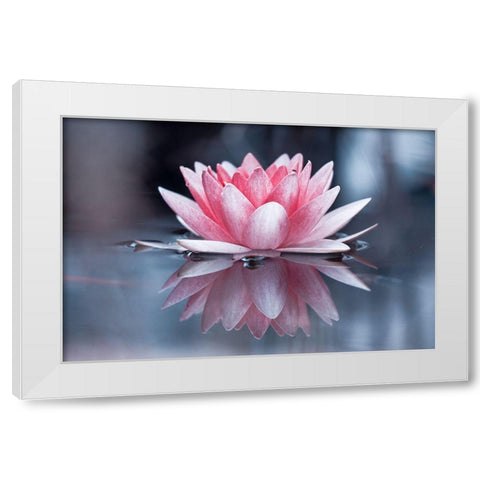 Padmasana White Modern Wood Framed Art Print by Bravin, Fabien