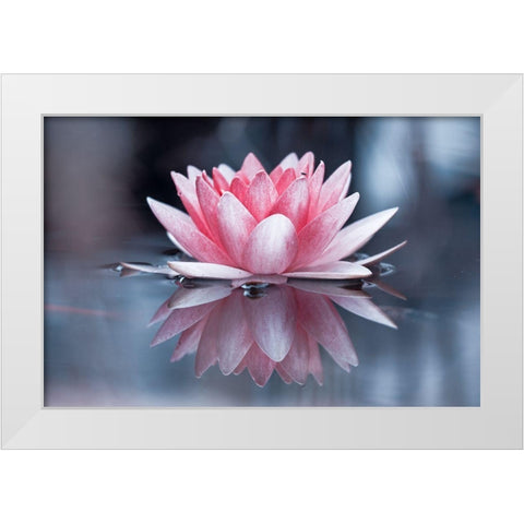 Padmasana White Modern Wood Framed Art Print by Bravin, Fabien