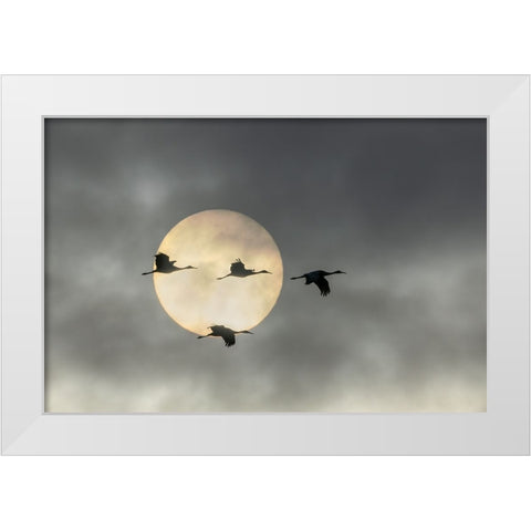 Over The Moon White Modern Wood Framed Art Print by Fan, John