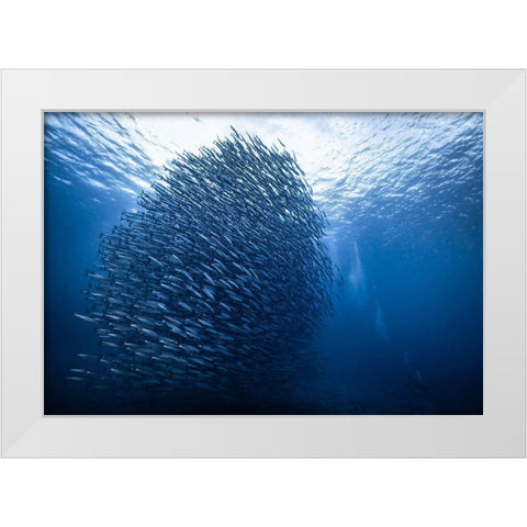 Mass Giant White Modern Wood Framed Art Print by Choi, Yonghoon