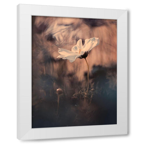 The Bride White Modern Wood Framed Art Print by Bravin, Fabien