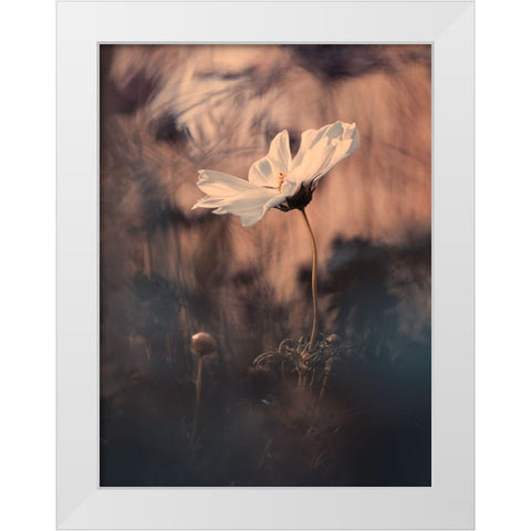 The Bride White Modern Wood Framed Art Print by Bravin, Fabien