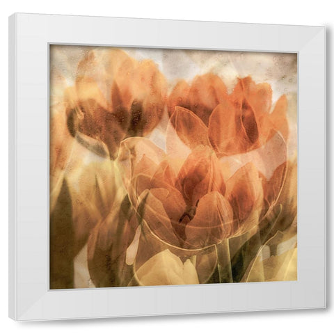 Tulips White Modern Wood Framed Art Print by Vangindertael, Luc