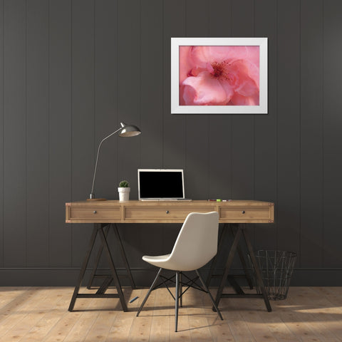 Lovely Pink White Modern Wood Framed Art Print by Petrovic, Snezana