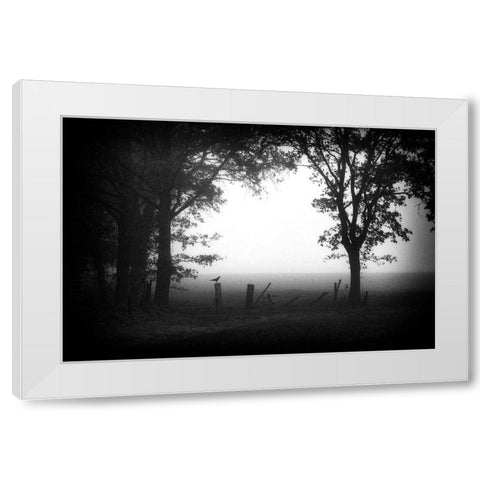 Early Bird White Modern Wood Framed Art Print by Van Bijnen, Jacqueline