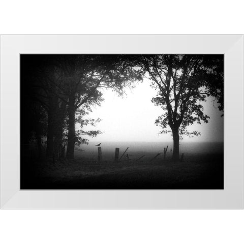 Early Bird White Modern Wood Framed Art Print by Van Bijnen, Jacqueline