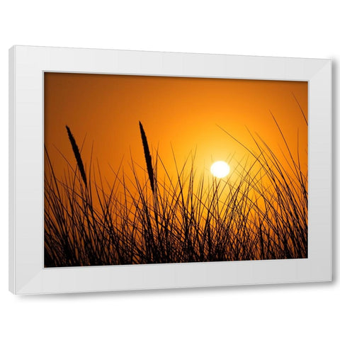 Coastal Beauty White Modern Wood Framed Art Print by Scott Johnson, Ronald