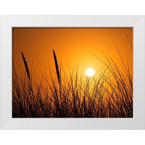 Coastal Beauty White Modern Wood Framed Art Print by Scott Johnson, Ronald