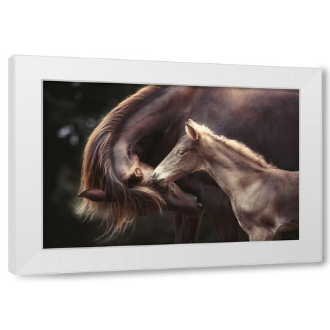 The Bond White Modern Wood Framed Art Print by Willers, Heike