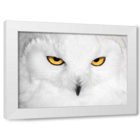 H Y P N O T I C S White Modern Wood Framed Art Print by Fegari