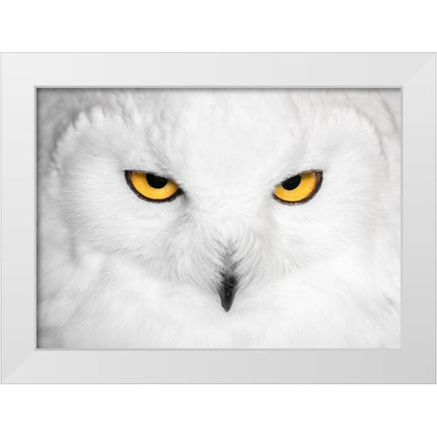 H Y P N O T I C S White Modern Wood Framed Art Print by Fegari