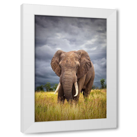 The Big Bull White Modern Wood Framed Art Print by Moreno, Mario