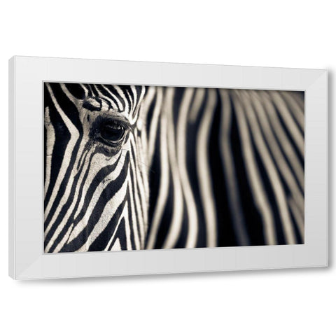Eye A Stripes White Modern Wood Framed Art Print by Moreno, Mario