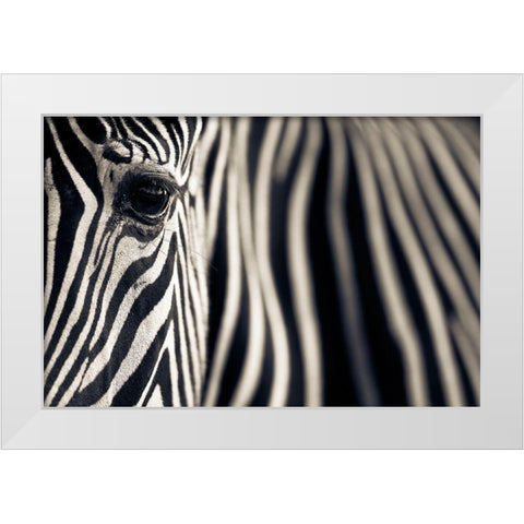 Eye A Stripes White Modern Wood Framed Art Print by Moreno, Mario