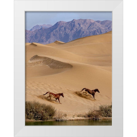 Salvation White Modern Wood Framed Art Print by Fazaeli, David