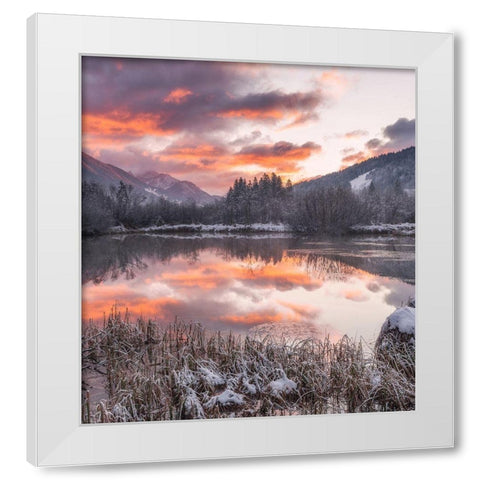 Zelenci Springs White Modern Wood Framed Art Print by Krivec, Ales