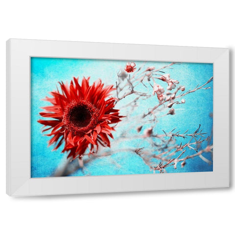 Marigold White Modern Wood Framed Art Print by Kreiten, Mike
