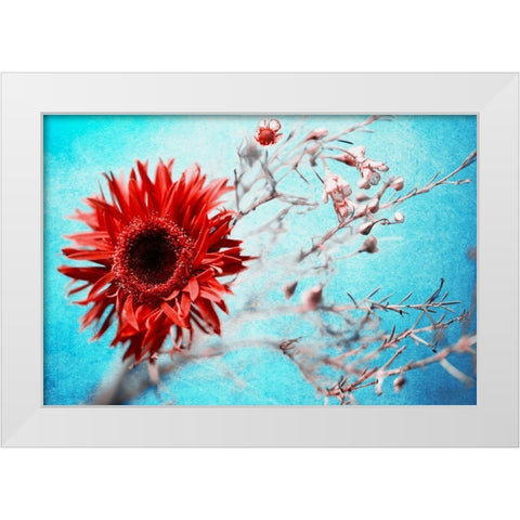 Marigold White Modern Wood Framed Art Print by Kreiten, Mike