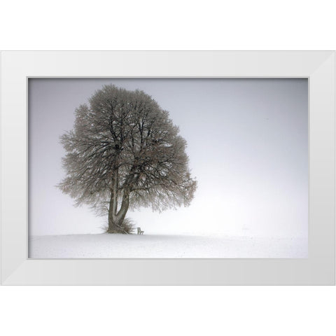 Winter Tree White Modern Wood Framed Art Print by Irmawarth