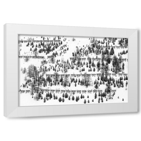 Trees And Fences White Modern Wood Framed Art Print by Hermann, Uschi