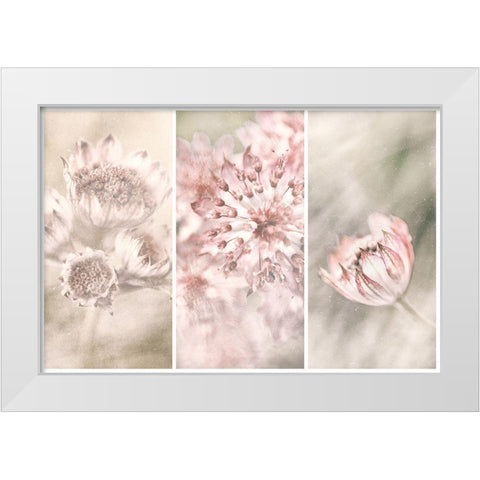 Untitled White Modern Wood Framed Art Print by Davidsson, Gustav