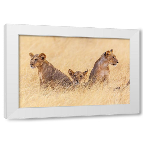 Future Patriarchs White Modern Wood Framed Art Print by C. Sink, Jeffrey