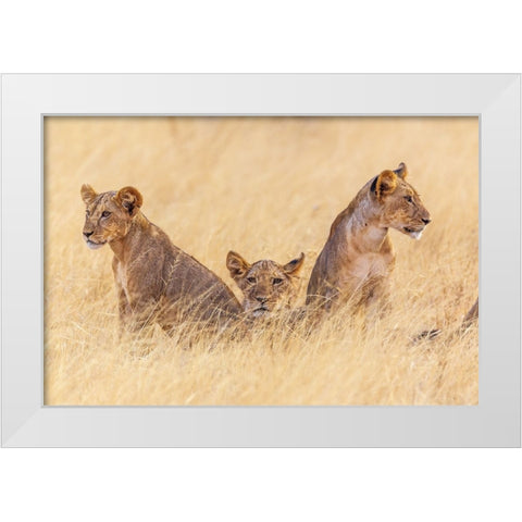 Future Patriarchs White Modern Wood Framed Art Print by C. Sink, Jeffrey