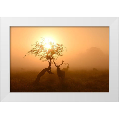 Guardians Of Light White Modern Wood Framed Art Print by Fabrowski, Robert