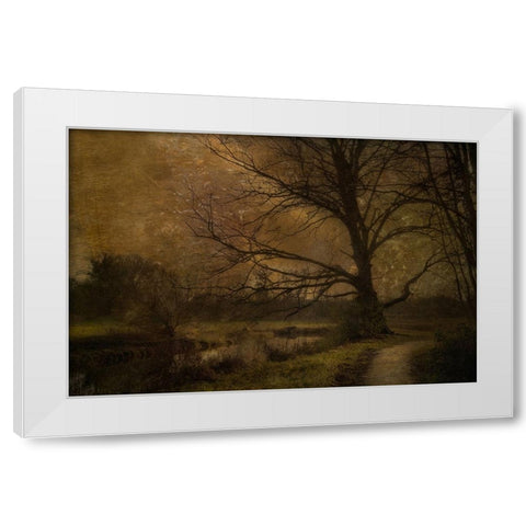 Old Tree White Modern Wood Framed Art Print by Talen, Nel