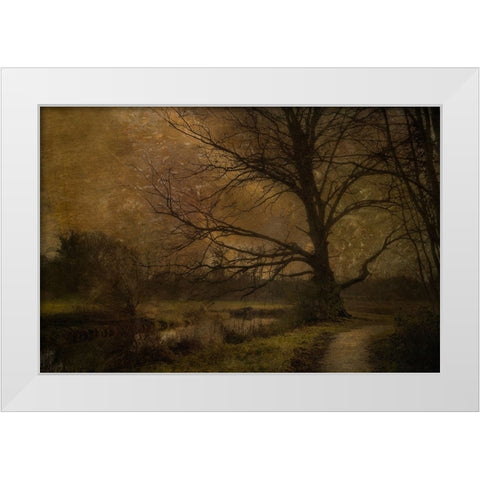 Old Tree White Modern Wood Framed Art Print by Talen, Nel