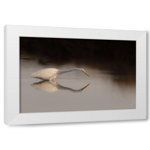 Search Mode White Modern Wood Framed Art Print by Forner Rodriguez, Joaquin