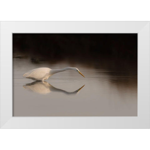 Search Mode White Modern Wood Framed Art Print by Forner Rodriguez, Joaquin