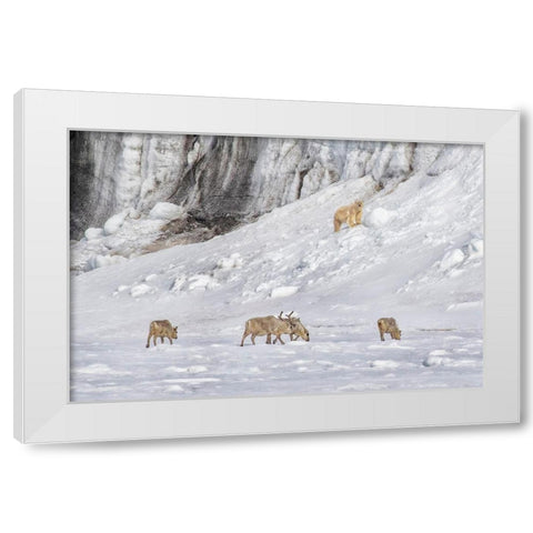 A Polar Bear Looking Down At Four Reindeer White Modern Wood Framed Art Print by And Wei, Siyu