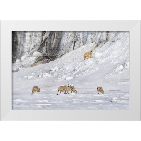 A Polar Bear Looking Down At Four Reindeer White Modern Wood Framed Art Print by And Wei, Siyu