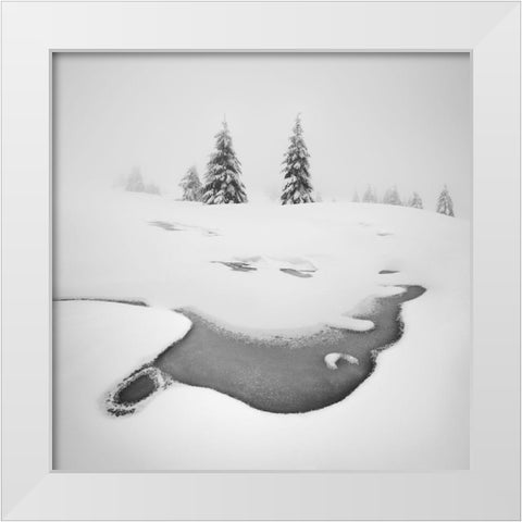 Frozen Swamps White Modern Wood Framed Art Print by Rericha, Daniel